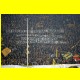 THB_7359.jpg