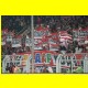 THB_7383.jpg