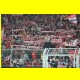 THB_7496.jpg
