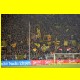 THB_7501.jpg