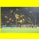 THB_0763.jpg