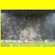 THB_1070.jpg