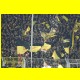 THB_1169.jpg