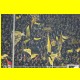 THB_1907.jpg