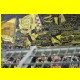 THB_2029.jpg