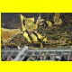 THB_2041.jpg