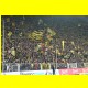 THB_5294.jpg