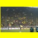 THB_5354.jpg