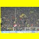 THB_5432.jpg
