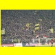 THB_5438.jpg