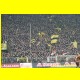 THB_5442.jpg