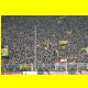 THB_5460.jpg