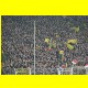 THB_5467.jpg