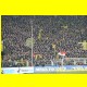 THB_5510.jpg
