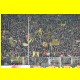 THB_5519.jpg