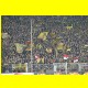 THB_5524.jpg