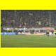 THB_5532.jpg