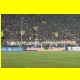THB_5540.jpg
