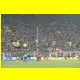 THB_5581.jpg