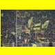 THB_5641.jpg