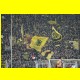 THB_5671.jpg