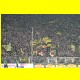 THB_5757.jpg