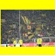 THB_5879.jpg