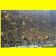 THB_5108.jpg