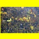 THB_5113.jpg