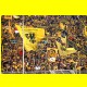 THB_5184.jpg