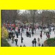 THB_4640.jpg