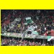 THB_4650.jpg