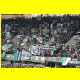THB_4766.jpg