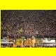 THB_5260.jpg