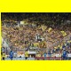 THB_8092.jpg