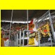 THB_8214.jpg
