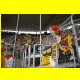 THB_8216.jpg