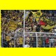 THB_8290.jpg