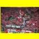 THB_0174.jpg