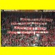 THB_0598.jpg