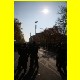 THB_9864.jpg