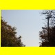 THB_9886.jpg