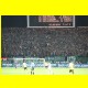 THB_0019.jpg