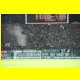 THB_0237.jpg