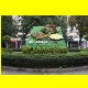 THB_8362.jpg