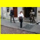THB_8465.jpg