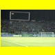 THB_8921.jpg