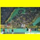 THB_8934.jpg
