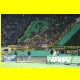 THB_8944.jpg
