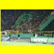 THB_8947.jpg